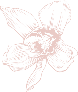 Florist Leominster | The Flower Gallery Flower