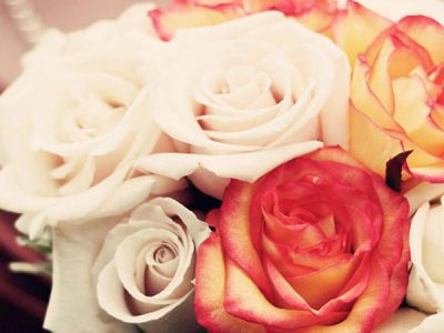 Florist Leominster | The Flower Gallery Roses